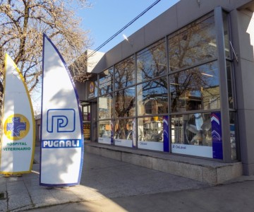 PUGNALI AGROINDUSTRIAL en Venado Tuerto