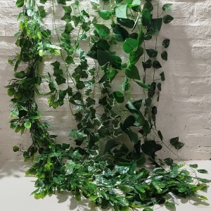guia arverjilla 160cm