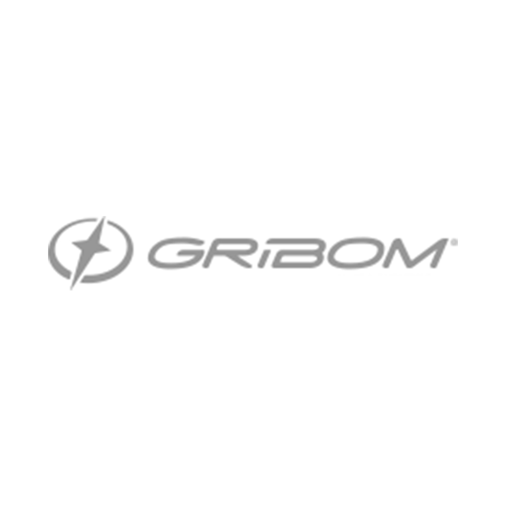 gribom-bicicleta-3050-rod24-brisa