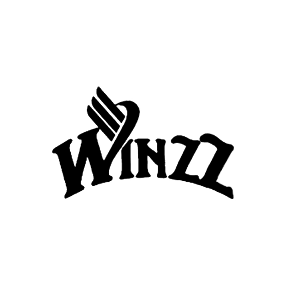 winzz-guitarra-electroacustica