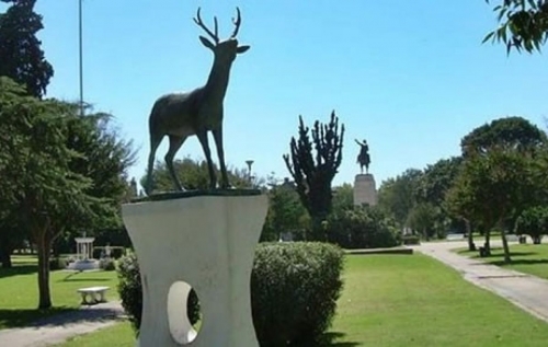 PLAZA SAN MARTIN