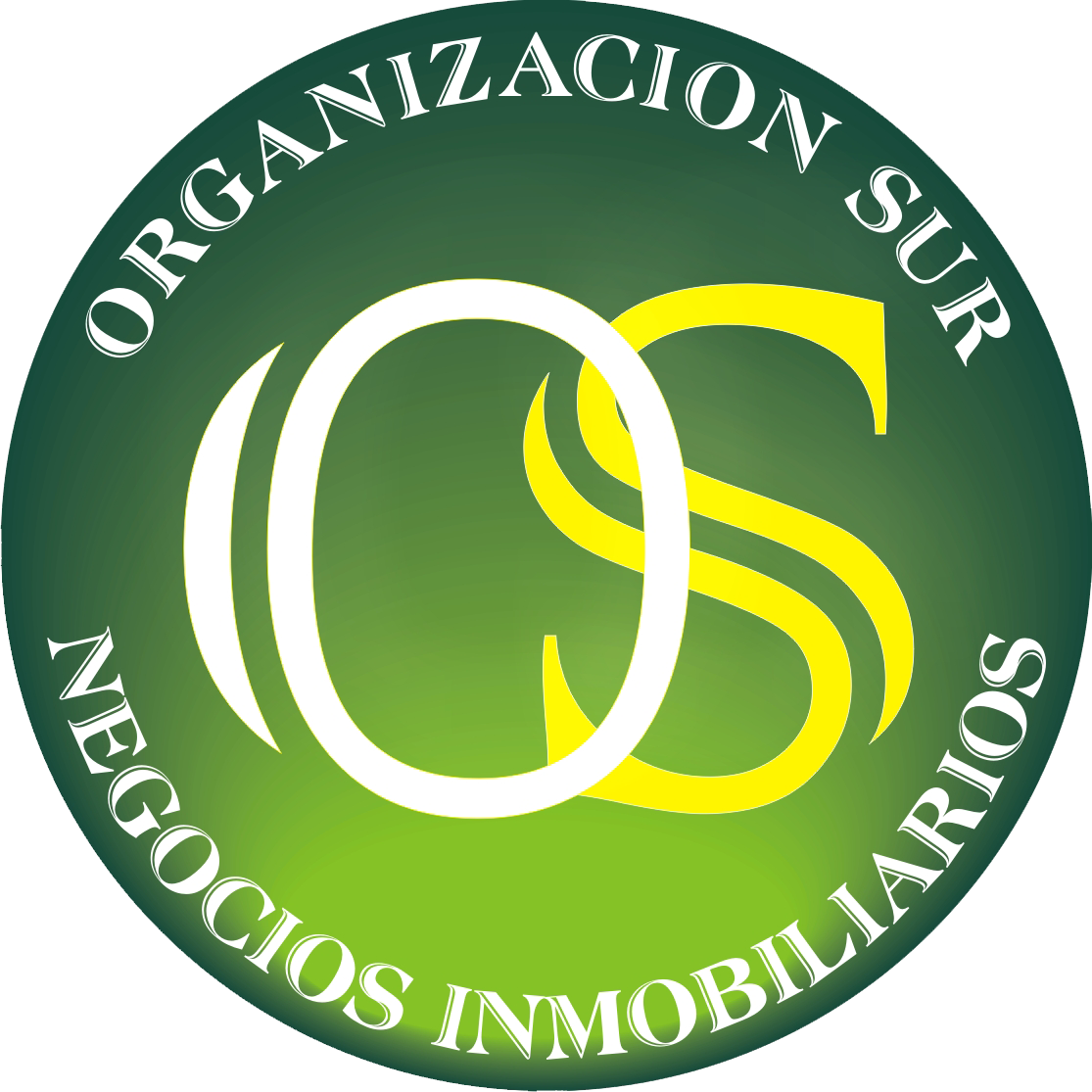 ORGANIZACION SUR